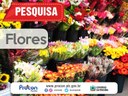 flores.jpg