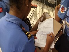 Procon/PB realiza, com estudantes, fiscalizações educativas em João Pessoa.