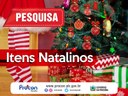 Itens Natalino