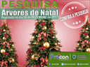 Preço da árvore de natal pode ser encontrada a partir de R$ 15 Preço da árvore de natal pode ser encontrada a partir de R$ 15