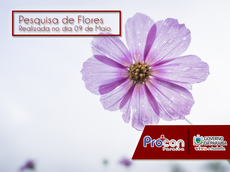 Pesquisa realizada no dia 09 de Maio/17