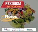 Preço de flores têm variação de até 900% em João Pessoa Preço de flores têm variação de até 900% em João Pessoa