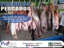 Preços do quilo do peixe variam até 120% em mercados públicos de João Pessoa Preços do quilo do peixe variam até 120% em mercados públicos de João Pessoa