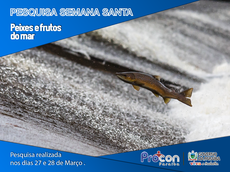 Pesquisa de peixes e crustáceos realizada nos dias 27 e 28 de março/17.