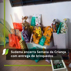 Sudema encerra Semana da Criança com entrega de brinquedos